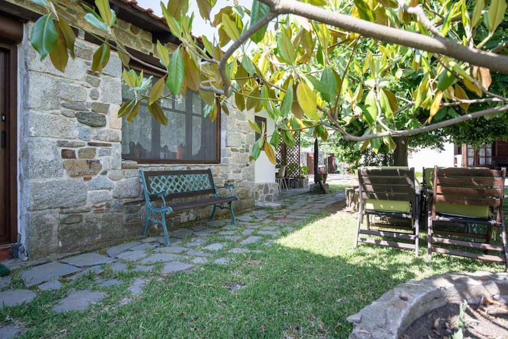 Traditionelles Appartement Athos Shadow Am Meer Paralia Sikias Exterior photo